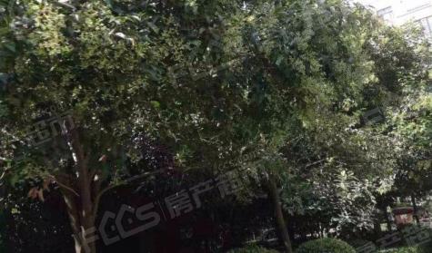 翔宇花园封面图