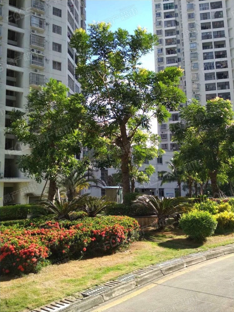 水岸阳光a小区实景图-水岸阳光a小区实景效果「海口房产超市」