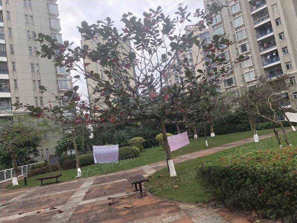 常平镇紫荆花园图片