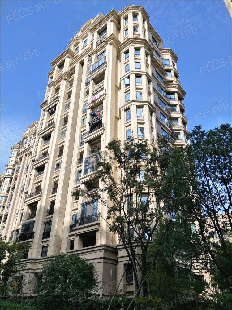 ׸