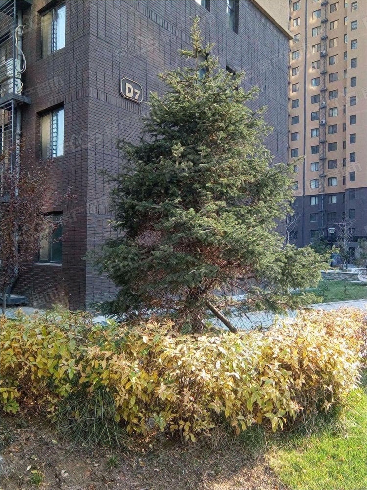 天阔假日风景