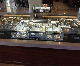 新野建业森林半岛的封面图