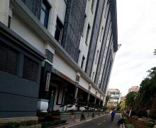 泗泾绿中海的封面图