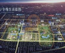 鲁能泰山7号的封面图