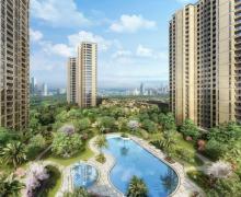 世茂滨江乐虹湾的封面图