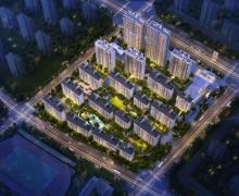 奥园龙川玖著的封面图