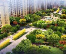 信跃太行明珠的封面图