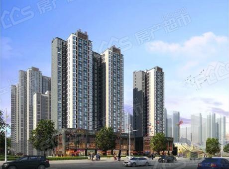 宝瑞阳光的封面图