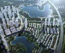 金城新天地的封面图