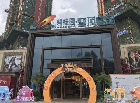 碧桂园云顶壹品的封面图