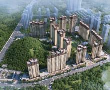 家喻五洲-名门的封面图