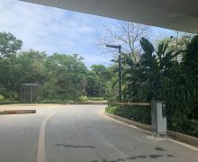 实地海棠华著别墅的封面图