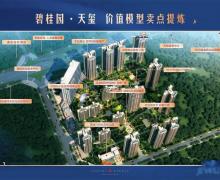 碧桂园天玺的封面图
