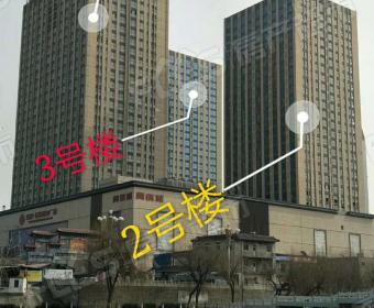 凤凰国际的封面图