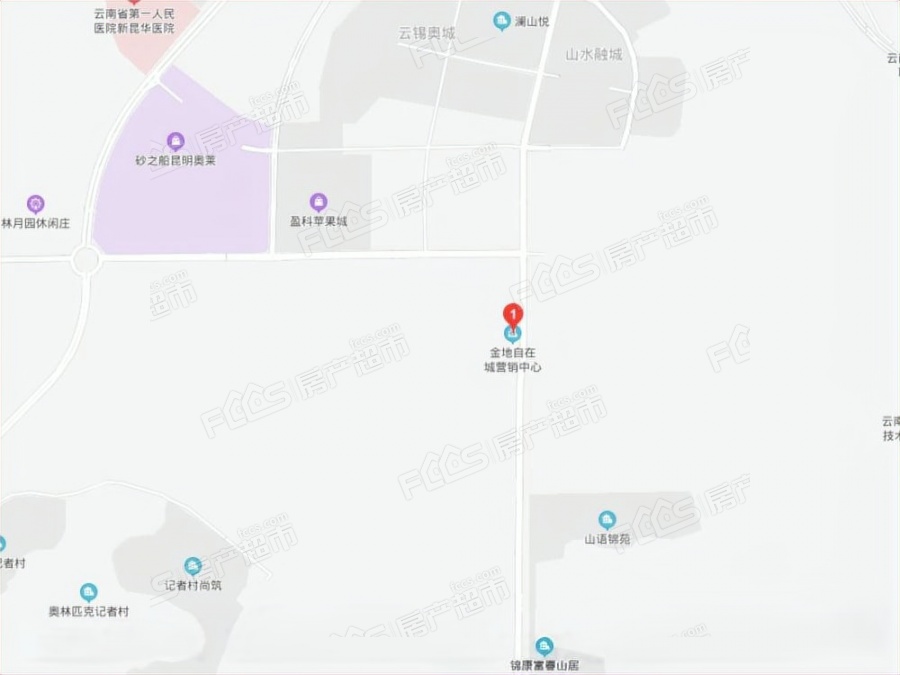 金地自在城楼盘位置图1