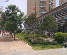 金开海景的封面图