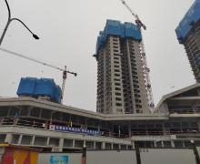美岸江山的封面图