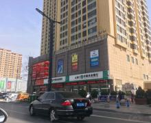 榆兴沙漠春天的封面图