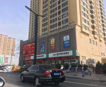榆兴沙漠春天的封面图