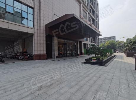 辉映江岸的封面图