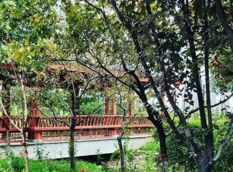 丰林花园的封面图