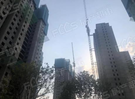 阳光城文澜府的封面图
